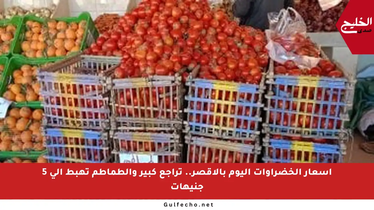 أسعار الخضراوات اليوم بالأقصر.. تراجع كبير والطماطم تهبط إلى 5 جنيهات